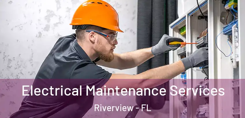Electrical Maintenance Services Riverview - FL